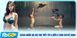 cách nuôi gà đá - ảnh đại diện