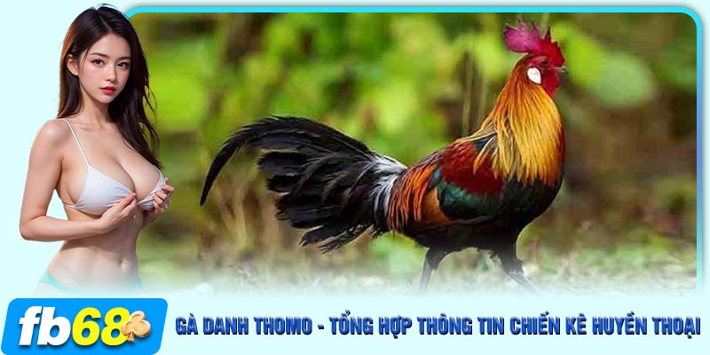 Tổng hợp những giống gà danh tiếng tại Thomo