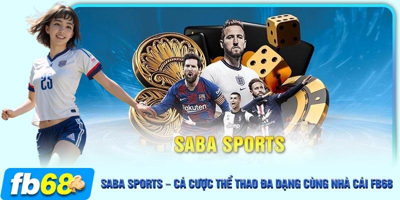 Quần vợt cũng là lựa chọn yêu thích của nhiều người tại Saba Sports FB68